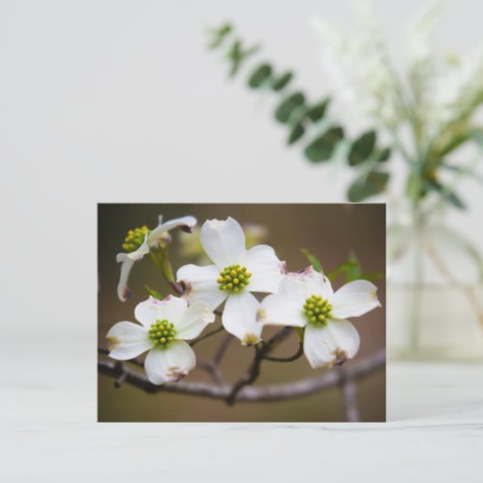 Kornoelje in Bloei Briefkaart (Staand voorkant)