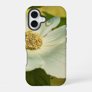 Kornoelje iPhone 16 Hoesje