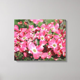 Kornoeljeboom in bloei canvas afdruk