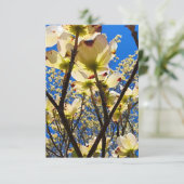 Kornoeljeboom Kaart (Staand voorkant)