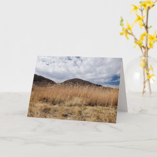 Korrel in de woestijn, blanco in de binnenzijde kaart (Gele Bloem)