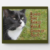 Korrel van het zout kat-advies Motivatietijd Fotoplaat (Voorkant)