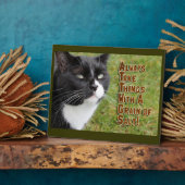 Korrel van het zout kat-advies Motivatietijd Fotoplaat (Zijkant)