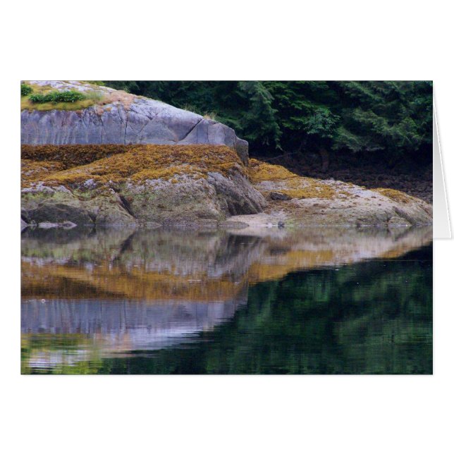 Korrelreflecties #7 (Voorkant Horizontaal)