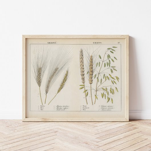 korrels | Charlotte Mary Yonge Poster