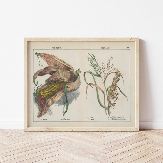 korrels | Charlotte Mary Yonge Poster