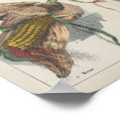 korrels | Charlotte Mary Yonge Poster (Hoek)