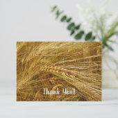 Korrels van tarwe in het veld. Het is oogsttijd! Bedankkaart (Staand voorkant)