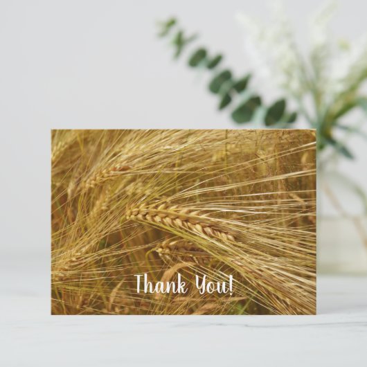 Korrels van tarwe in het veld. Het is oogsttijd! Bedankkaart (Staand voorkant)