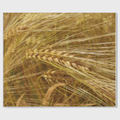 Korrels van tarwe in het veld. Het is oogsttijd! Cadeaupapier (Vlak)