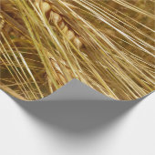 Korrels van tarwe in het veld. Het is oogsttijd! Cadeaupapier (Hoek)