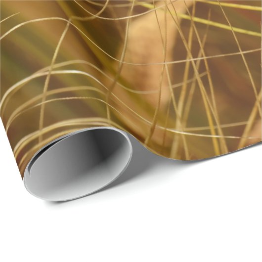 Korrels van tarwe in het veld. Het is oogsttijd! Cadeaupapier (Rol Hoek)