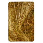 Korrels van tarwe in het veld. Het is oogsttijd! Magneet (Verticaal)