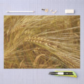 Korrels van tarwe in het veld. Het is oogsttijd! Tissuepapier (Craft)