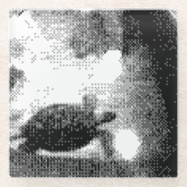 korrelschildpadden glazen onderzetter