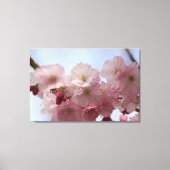 Körsbärsblommor - Canvas Afdruk (Voorkant)