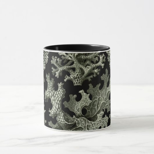 Korstmos door Ernst Haeckel, Oude Natuur Planten Mok (Midden)