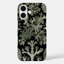 Korstmos door Ernst Haeckel, Vintage Natuur Plante iPhone 16 Hoesje