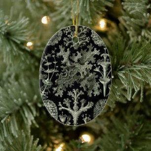 Korstmos door Ernst Haeckel, Vintage Natuur Plante Keramisch Ornament