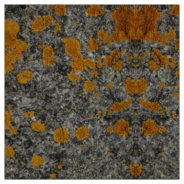 korstmos op granietfotostof stof