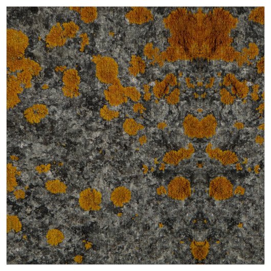 korstmos op granietfotostof stof (Swatch)