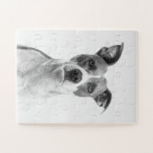 Kortademige hond op grijsschaal (zwart-wit) legpuzzel (Horizontaal)