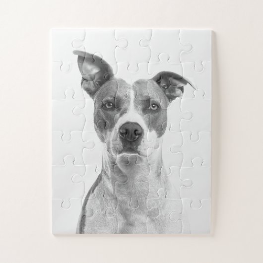 Kortademige hond op grijsschaal (zwart-wit) legpuzzel (Verticaal)