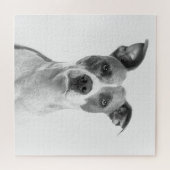 Kortademige hond op grijsschaal (zwart-wit) legpuzzel (Horizontaal)