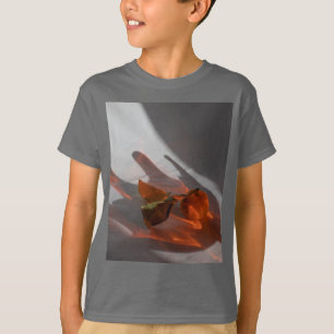 Korte Amber Grey Kind basishoes T-shirt