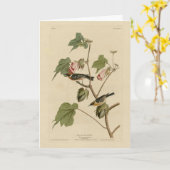 Korte broekriem - Amerikaanse vogels van Audubon Kaart (Gele Bloem)