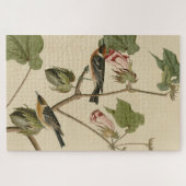 Korte broekriem - Amerikaanse vogels van Audubon Legpuzzel (Horizontaal)