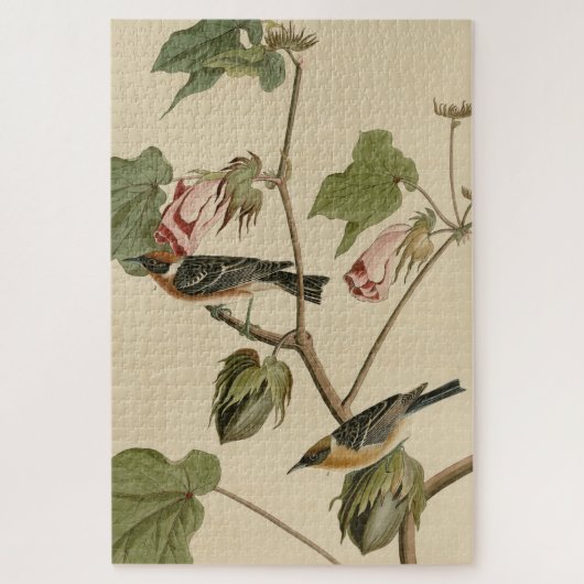 Korte broekriem - Amerikaanse vogels van Audubon Legpuzzel (Verticaal)