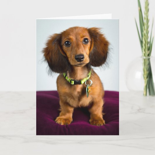 korte brokken kaart (Voorkant)