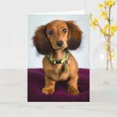 korte brokken kaart (Gele Bloem)