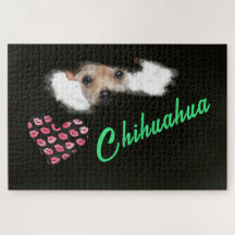 Korte gehakte Chihuahua Eyes Solid Color