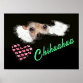 Korte gehakte Chihuahua Eyes Solid Color Poster (Voorkant)