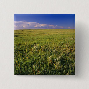 Korte grassteppe in afgelegen noordoostelijk vierkante button 5,1 cm