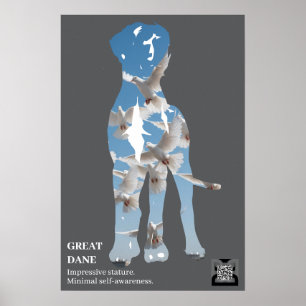 Korte Great Dane Poster