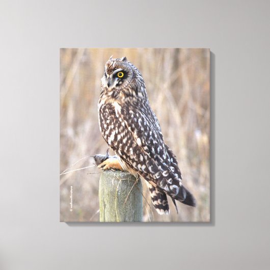 Korte hagel met woeste hengel canvas afdruk (Voorkant)