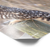 Korte hagel met woeste hengel foto afdruk (Hoek)