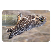 Korte hagel met woeste hengel magneet (Horizontaal)