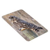 Korte hagel met woeste hengel magneet (Rechterzijde)