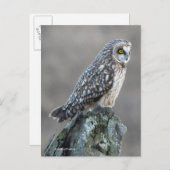 Korte hap in de moeras briefkaart (Voorkant / Achterkant)