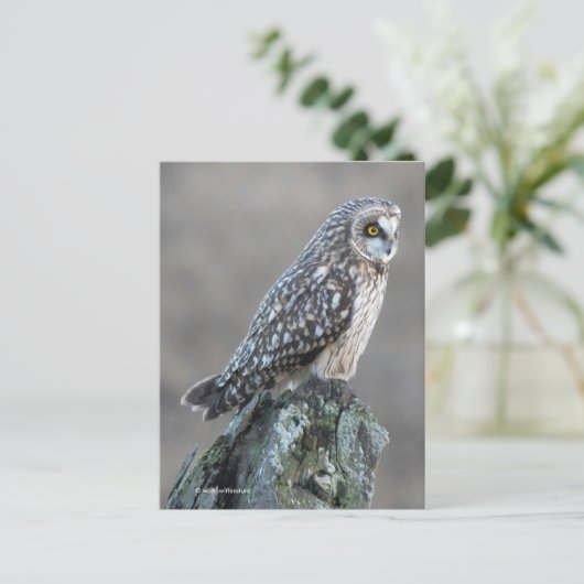 Korte hap in de moeras briefkaart (Staand voorkant)