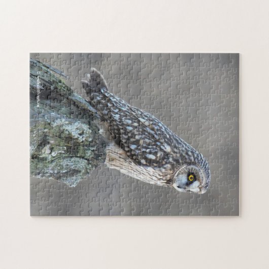 Korte hap in de moeras legpuzzel (Horizontaal)