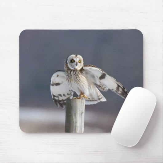 Korte haver 2 muismat (Met muis)