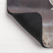 Korte haver met rode bende muismat (Hoek)