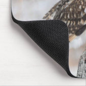 Korte haver muismat (Hoek)