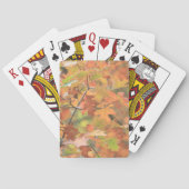 Korte kleurrijke val springt pokerkaarten (Achterkant)