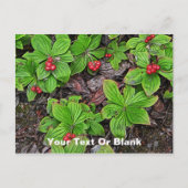 Korte Kornoelje Met Bessen Briefkaart (Voorkant)